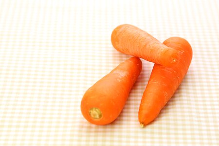 Carrot vegetable food