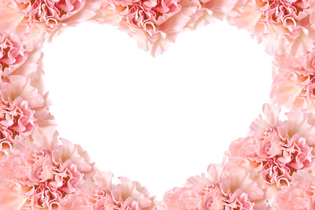 Carnation heart frame photo