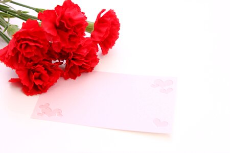 Carnation flower massage card photo