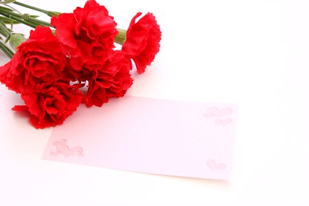 Carnation flower massage card