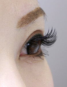 Eyelash extensions photo