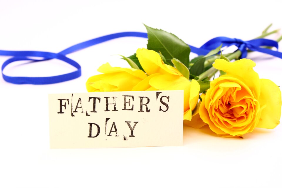 Fathers day yellow rose