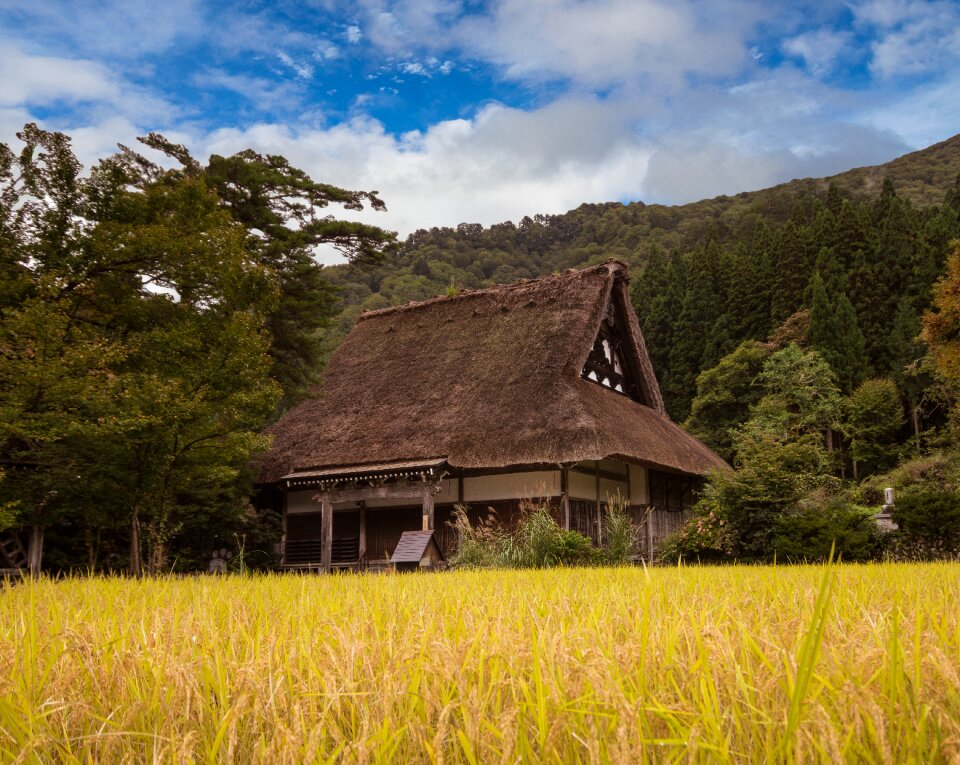 Folk house photo