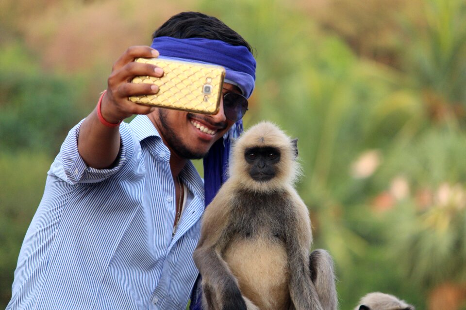 Gray langur man selfie