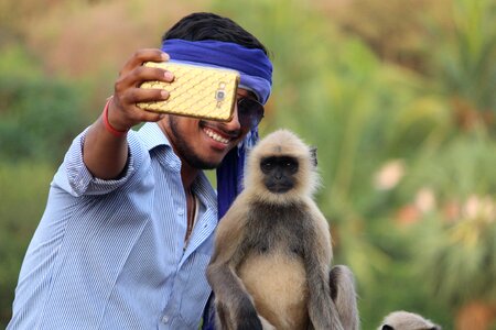 Gray langur man selfie