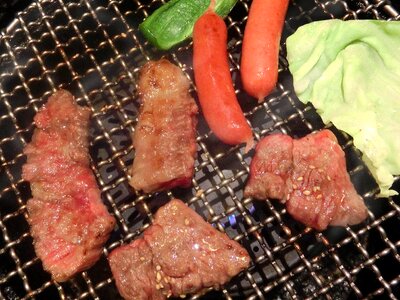 Grilled meat