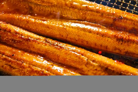 Grilled eel