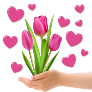 Hand tulip heart photo