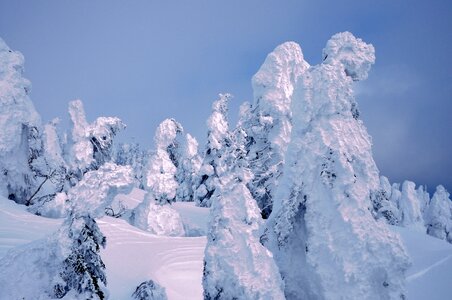 Hard rime winter photo