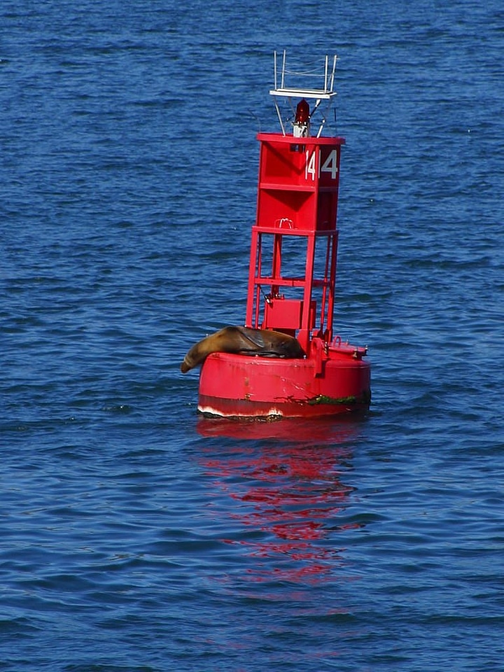 Lighthouse beacon sea