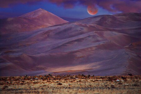 Lunar eclipse dune photo