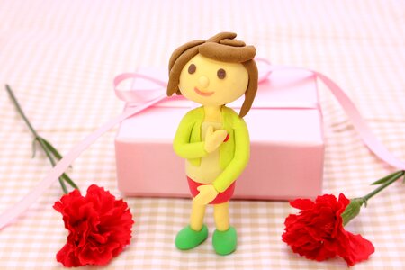 Mother day carnation doll