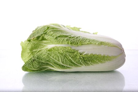 Napa cabbage vegetable photo
