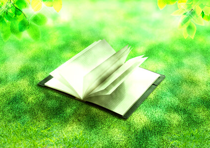 Notebook lawn