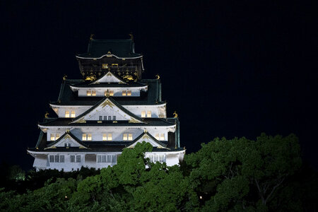 Osaka castle night
