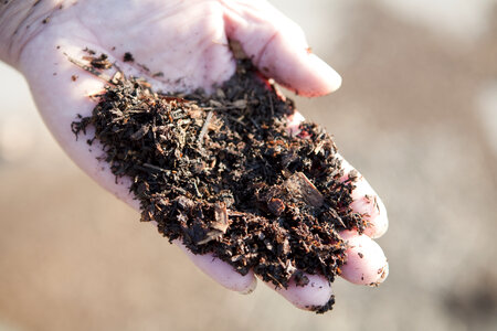 Soil hand photo