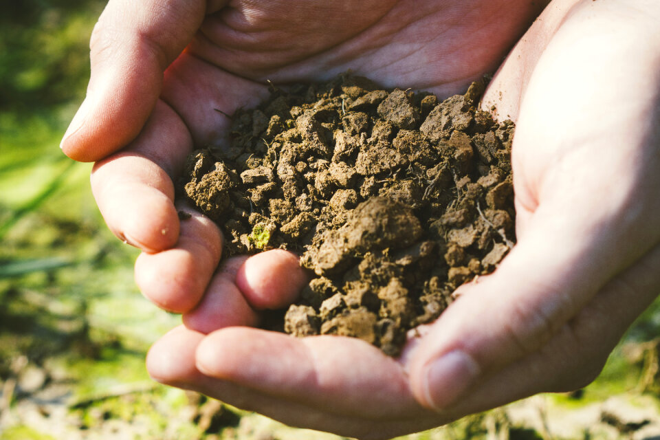 Soil hands
