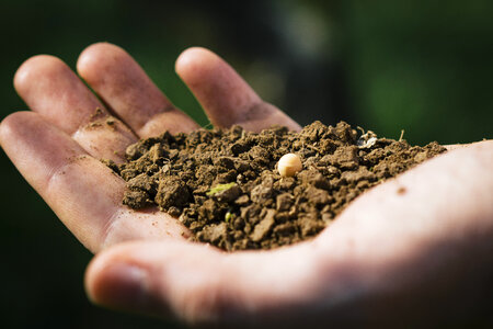 Soil hand seed