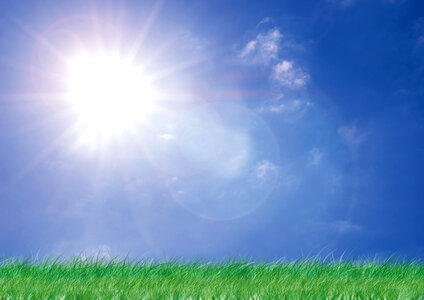 Sunlight sky grass