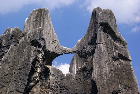 Stone forest rock