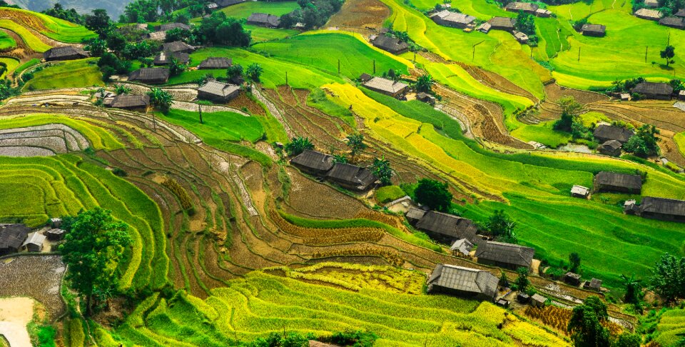 Terraced rice fields countryside photo