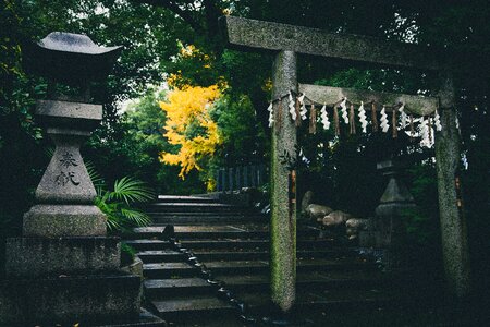 Torii shinto shrine photo