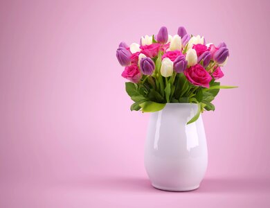 Tulip flower vase photo