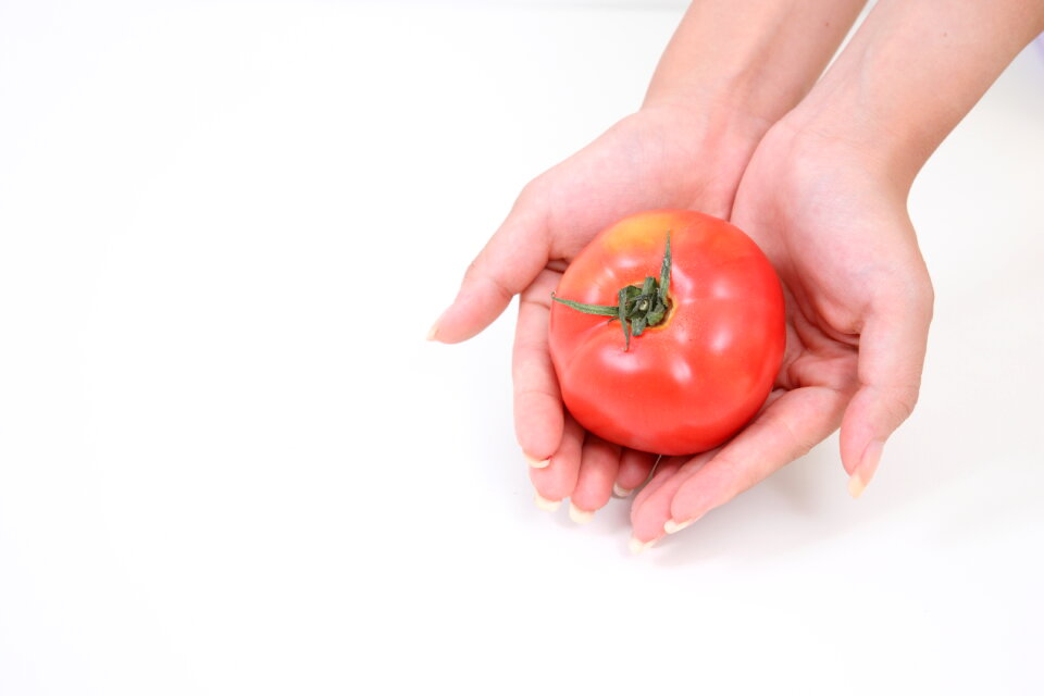 Tomato vegetable hand