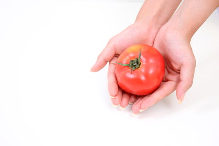 Tomato vegetable hand