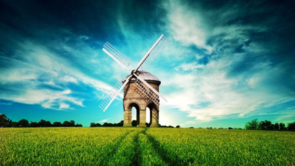 Windmill field