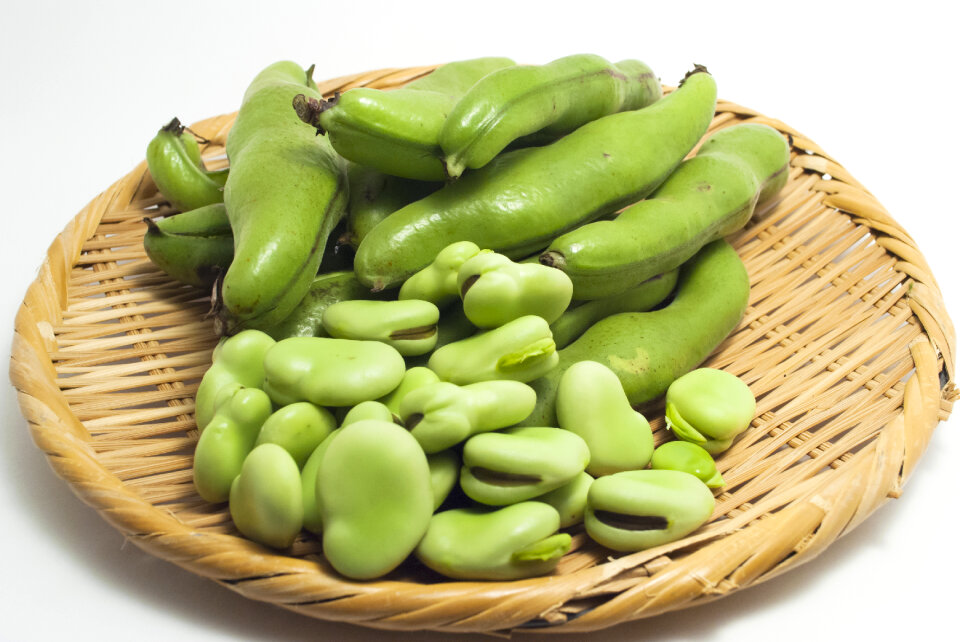 Broad bean vegetable
