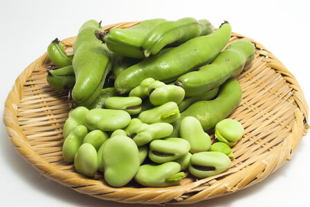 Broad bean vegetable photo