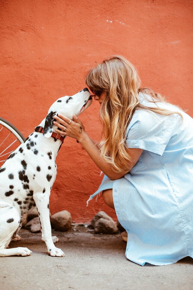 Dalmatian dog woman
