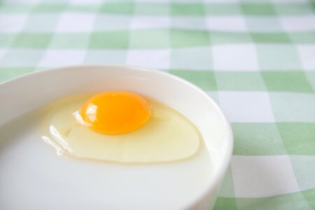 Fresh egg
