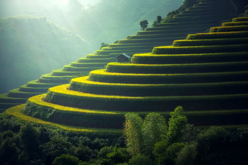 Terraced rice fields