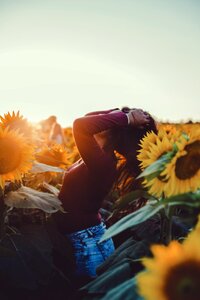 Sunflower woman girl photo