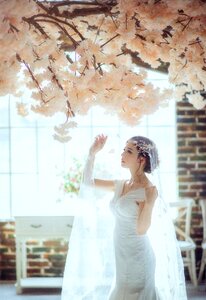 Wedding dress bride