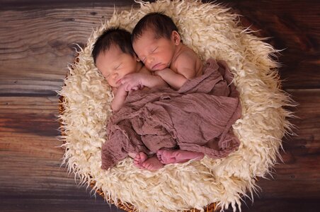 Babies twins sleeping photo