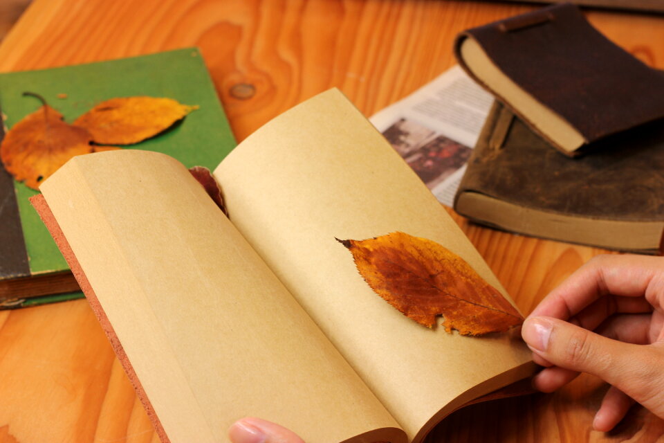 Autumn books fallen leaves