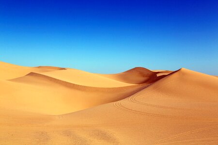 Algodones dunes photo