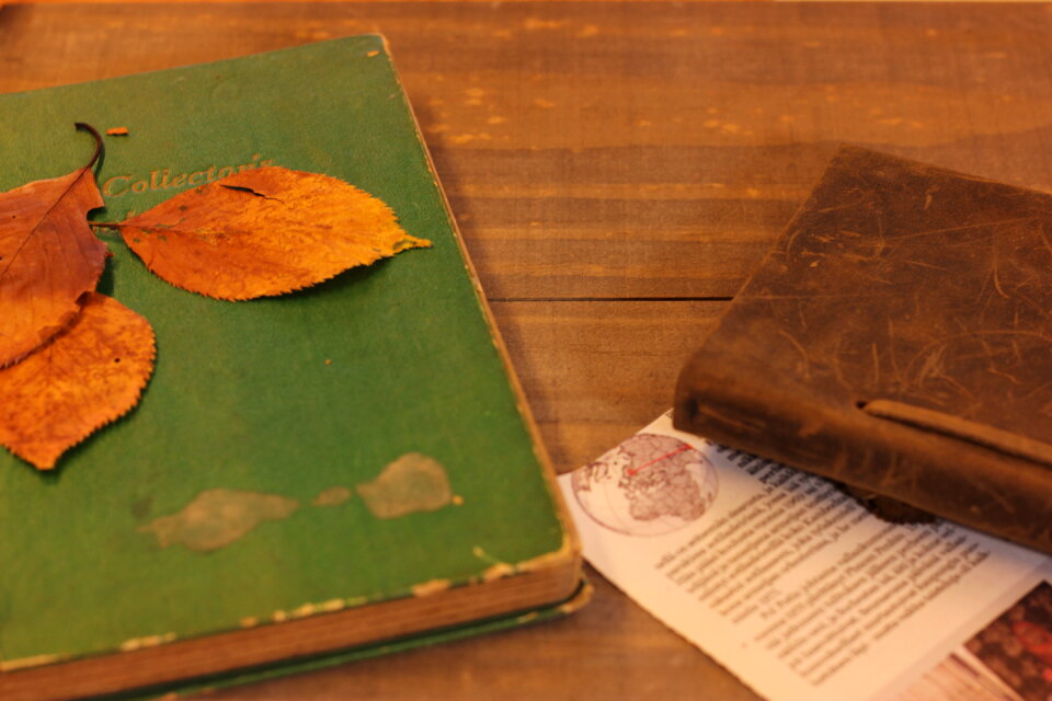 Books fallen leaves