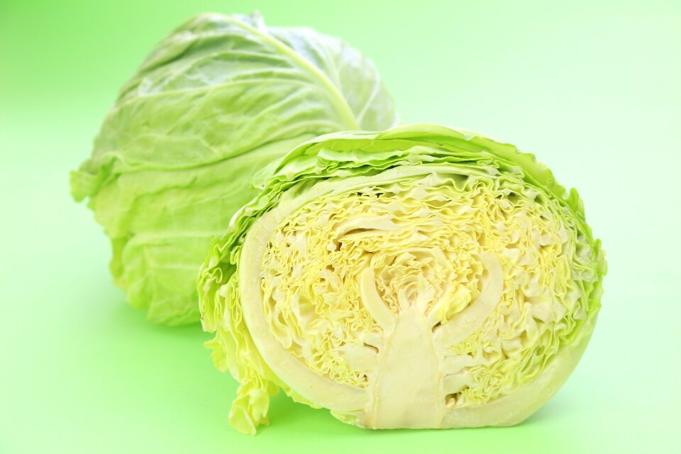 Cabbage vegetable food
