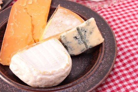 Cheese food