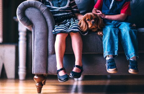 Cavalier king charles spaniel kids