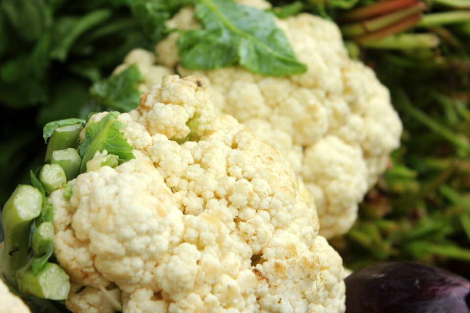 Cauliflower vegetable food