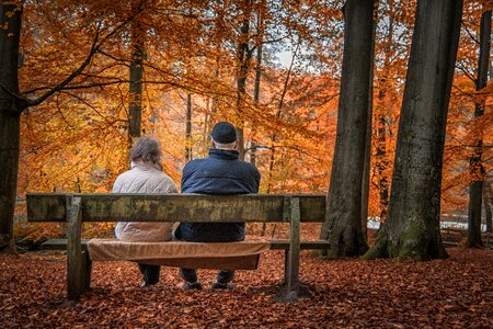 Couple bench forest autumn photo