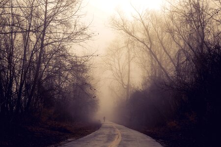 Fog road countryside photo