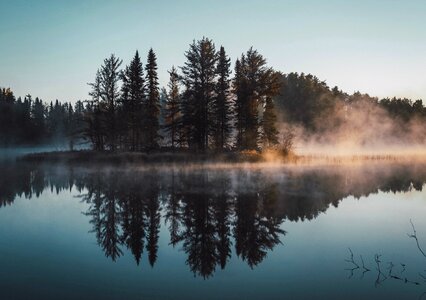 Fog lake trees photo