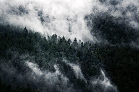 Fog mountain