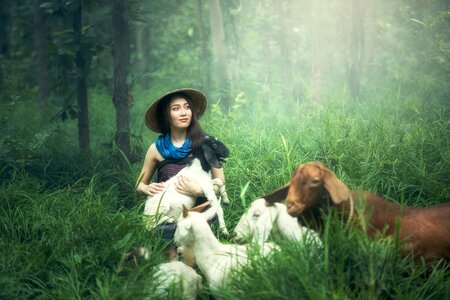 Goats farmer woman